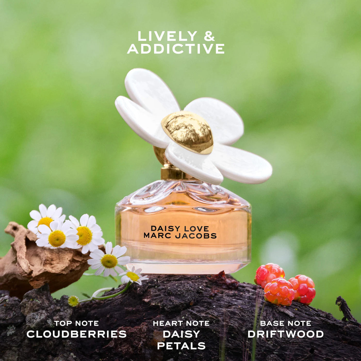 MARC JACOBS Mini Daisy Collection Perfume Sampler Set *PRE ORDER*