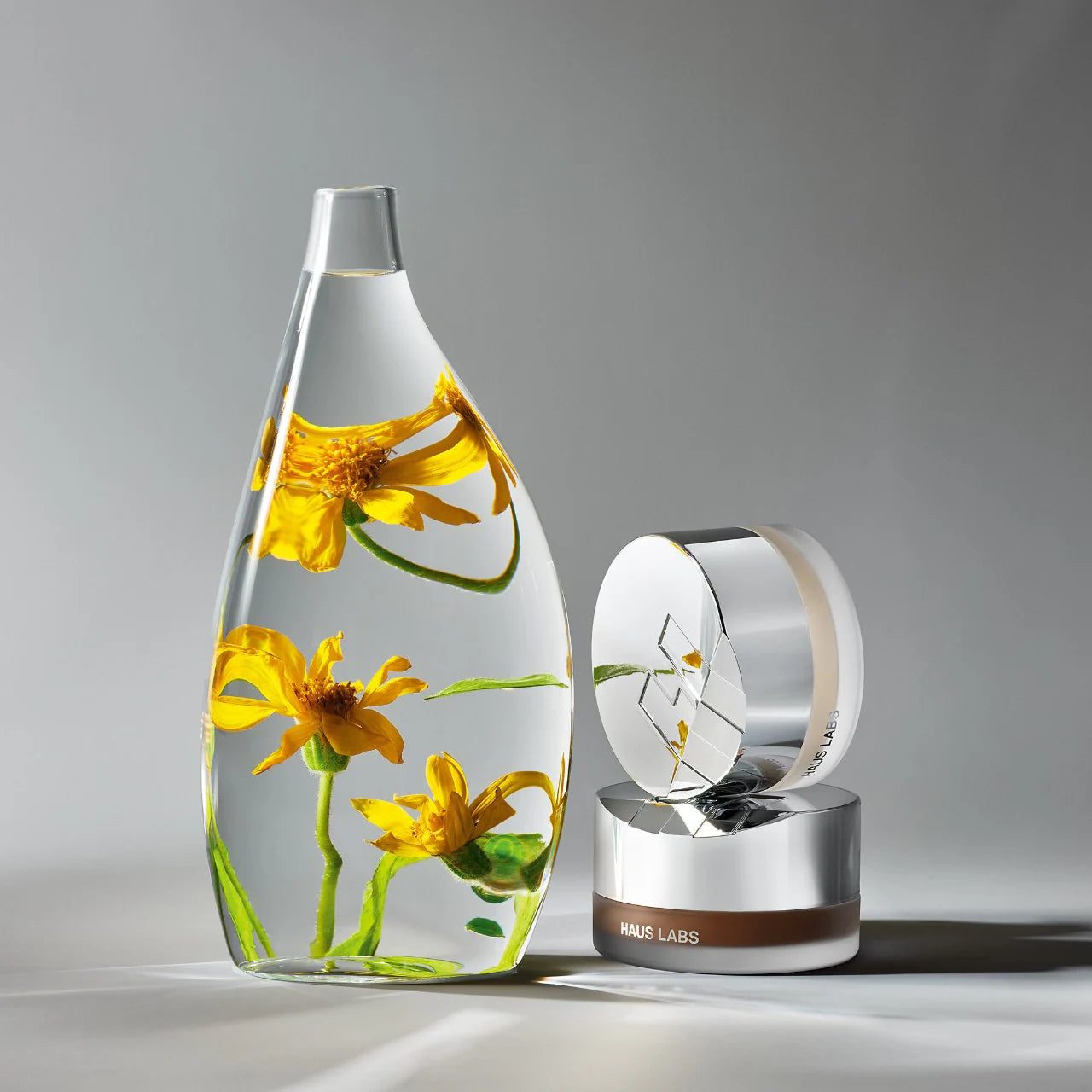 HAUS LABS Bio-Blurring Talc-Free Loose Setting Powder *PRE ORDER*