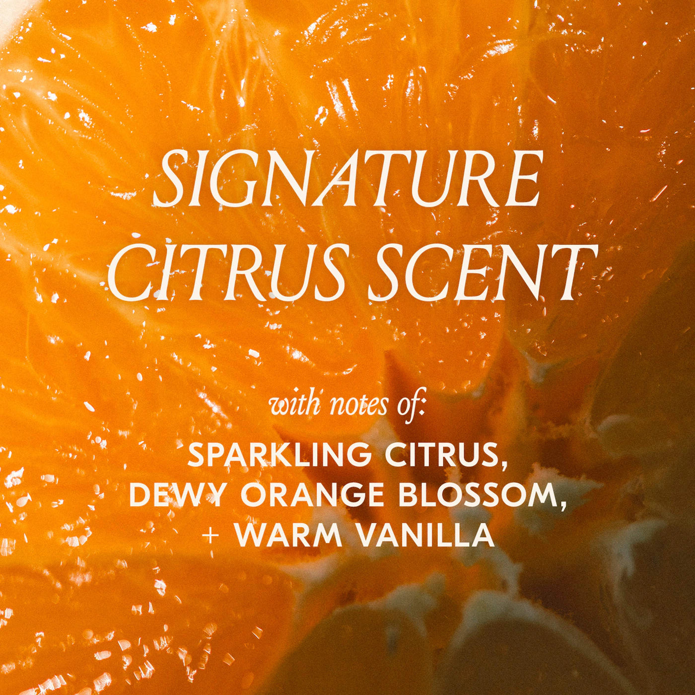 DAE Slick Citrus Twist Hair + Body Kit *PRE ORDER*