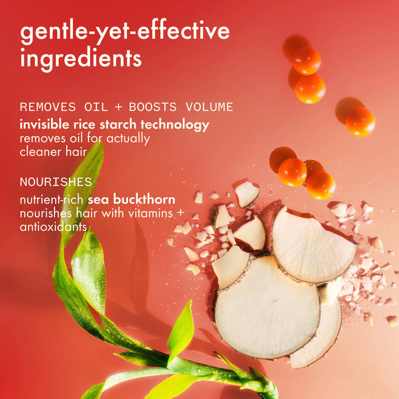 AMIKA Amika x Ellis Brooklyn Guava Granita Perk Up Dry Shampoo *PRE ORDER*