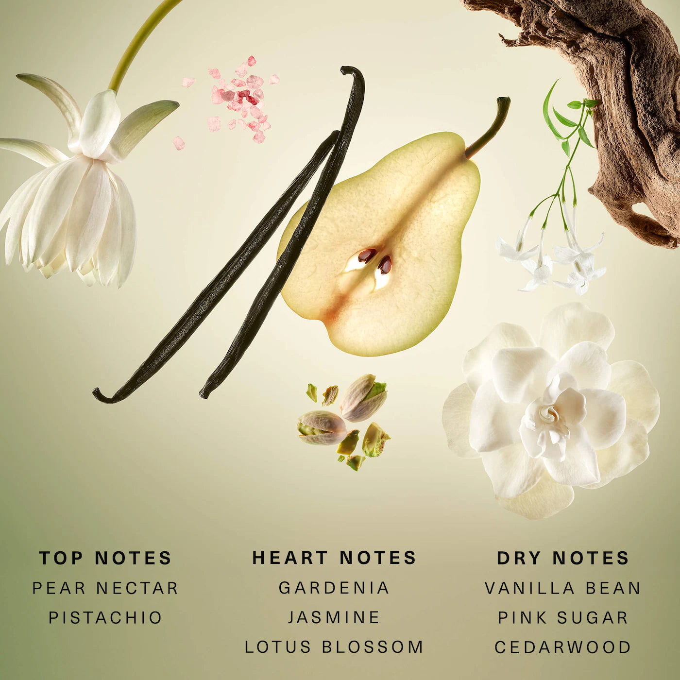 RARE BEAUTY Rare Beginnings Eau de Parfum with Pear and Gardenia *PRE ORDER*
