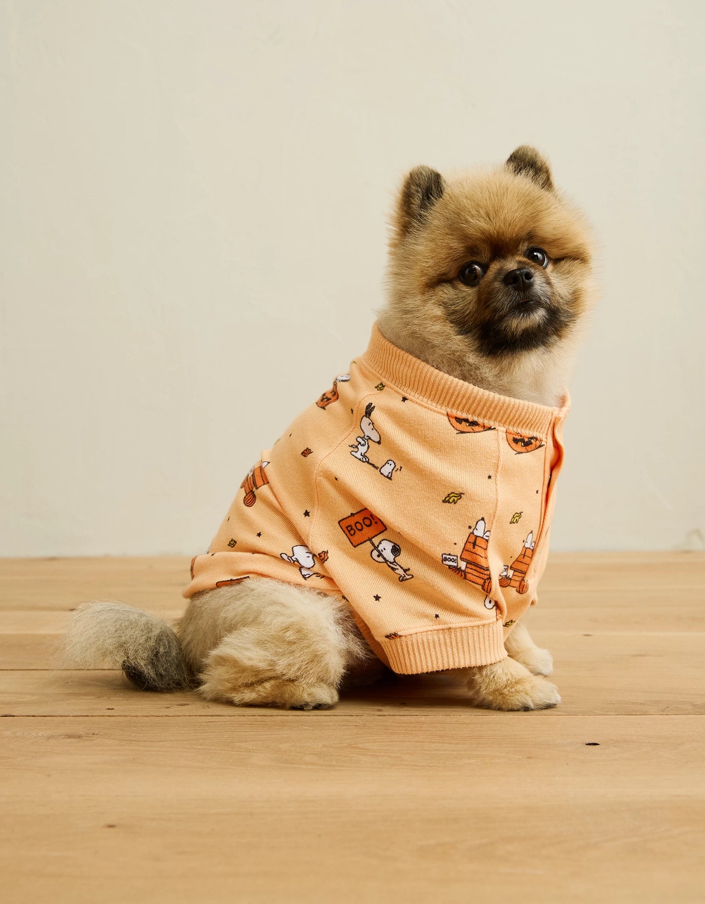 AMERICAN EAGLE ABO Snoopy Plush PJ Top