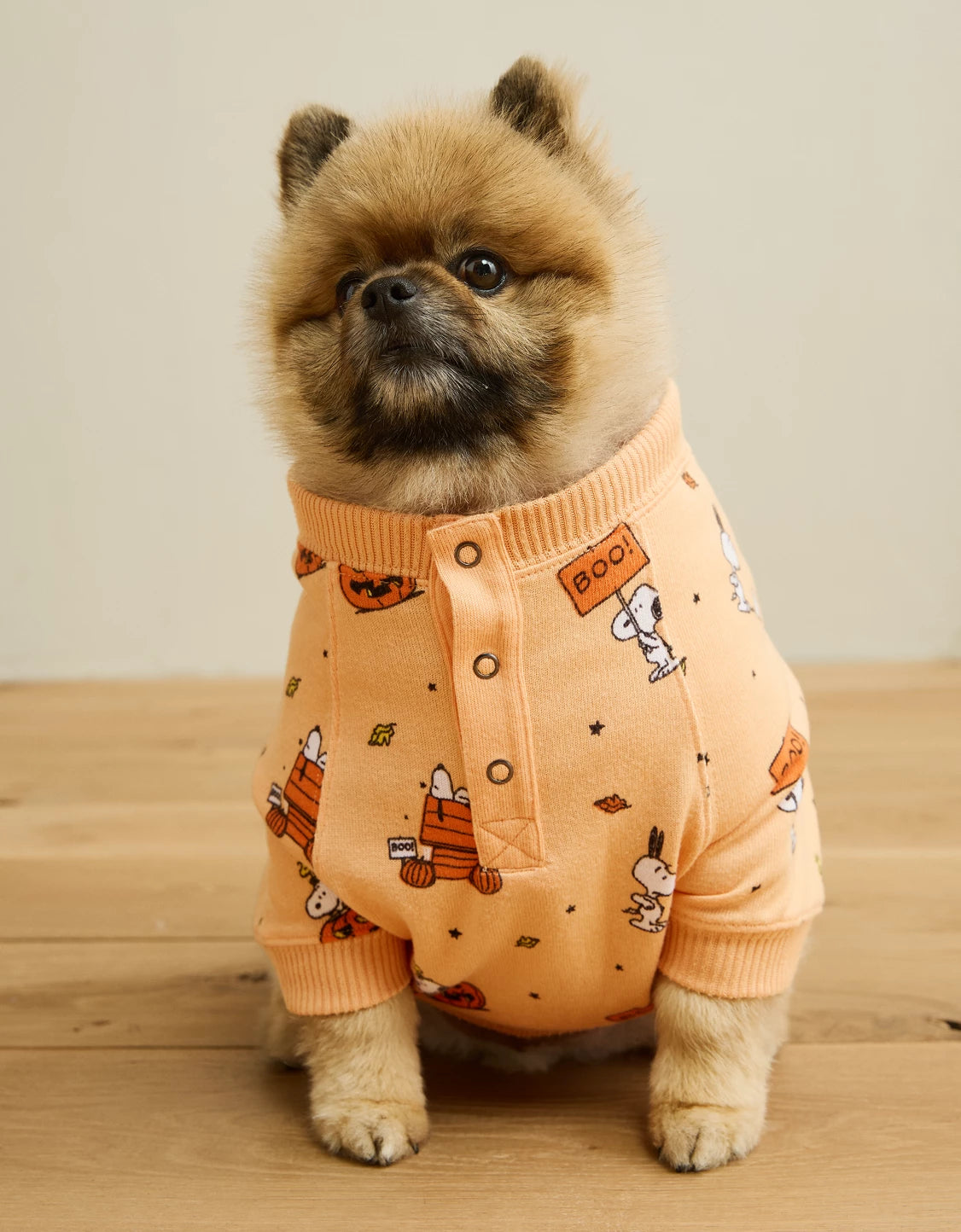 AMERICAN EAGLE ABO Snoopy Plush PJ Top