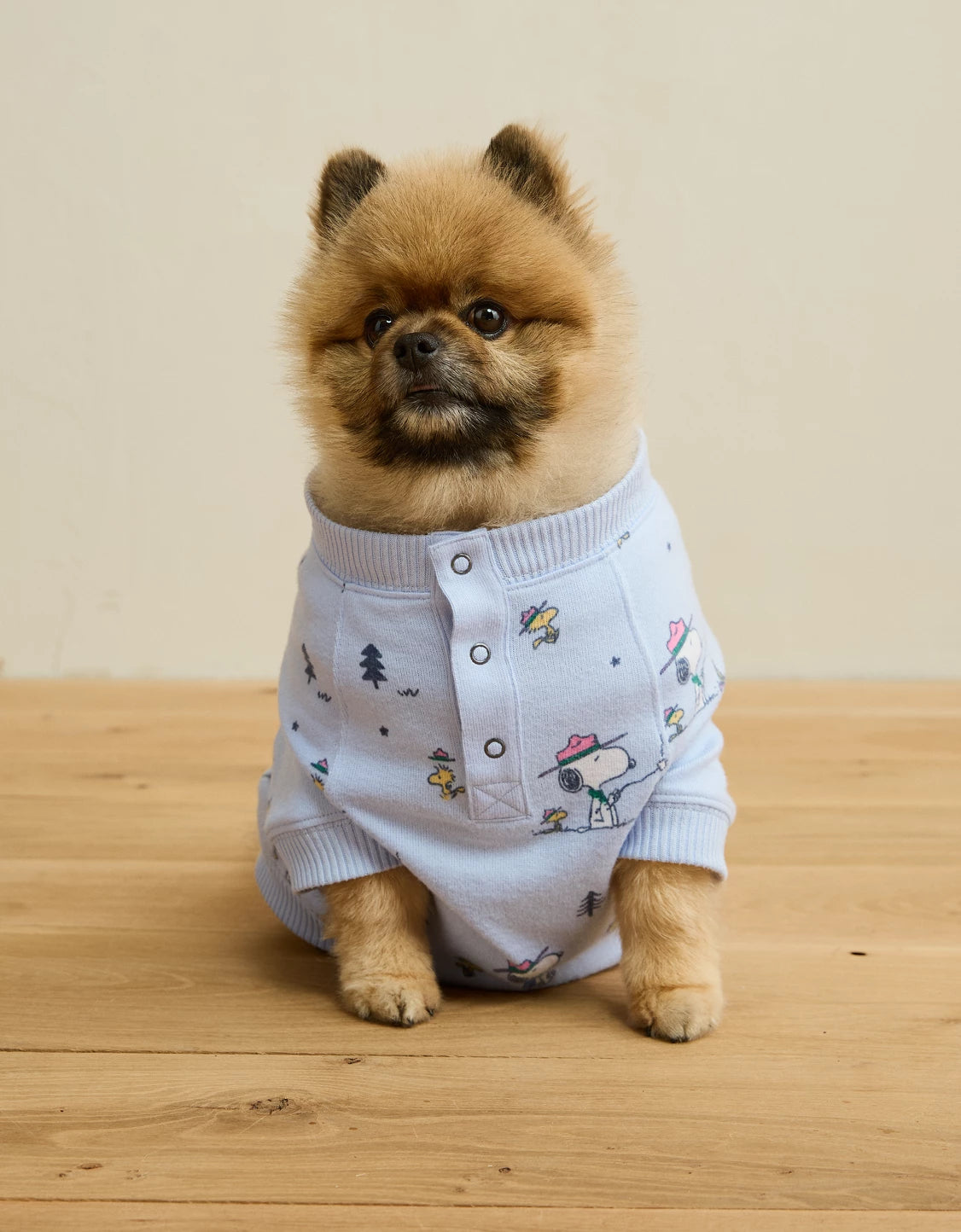 AMERICAN EAGLE ABO Snoopy Plush PJ Top