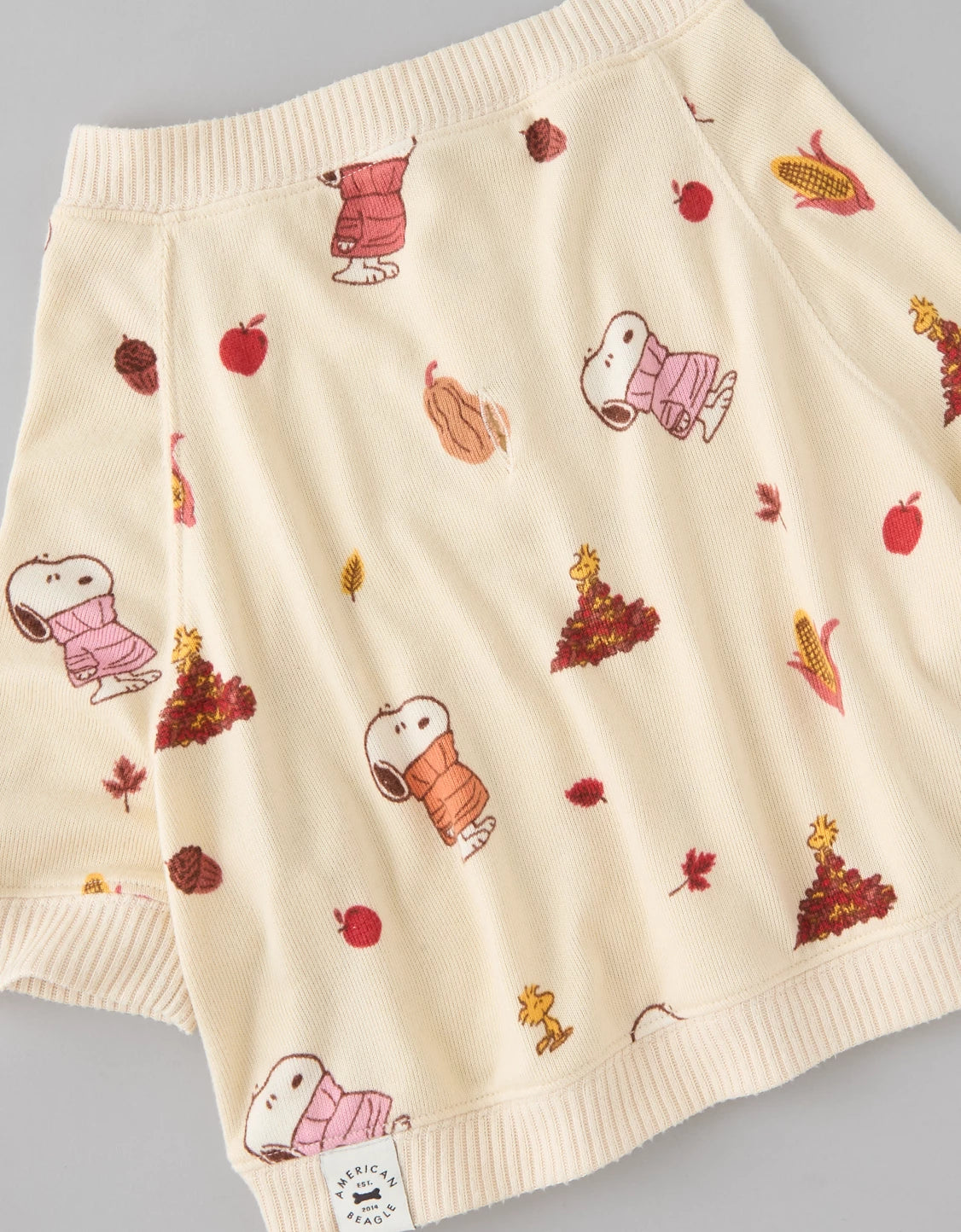 AMERICAN EAGLE ABO Snoopy Plush PJ Top