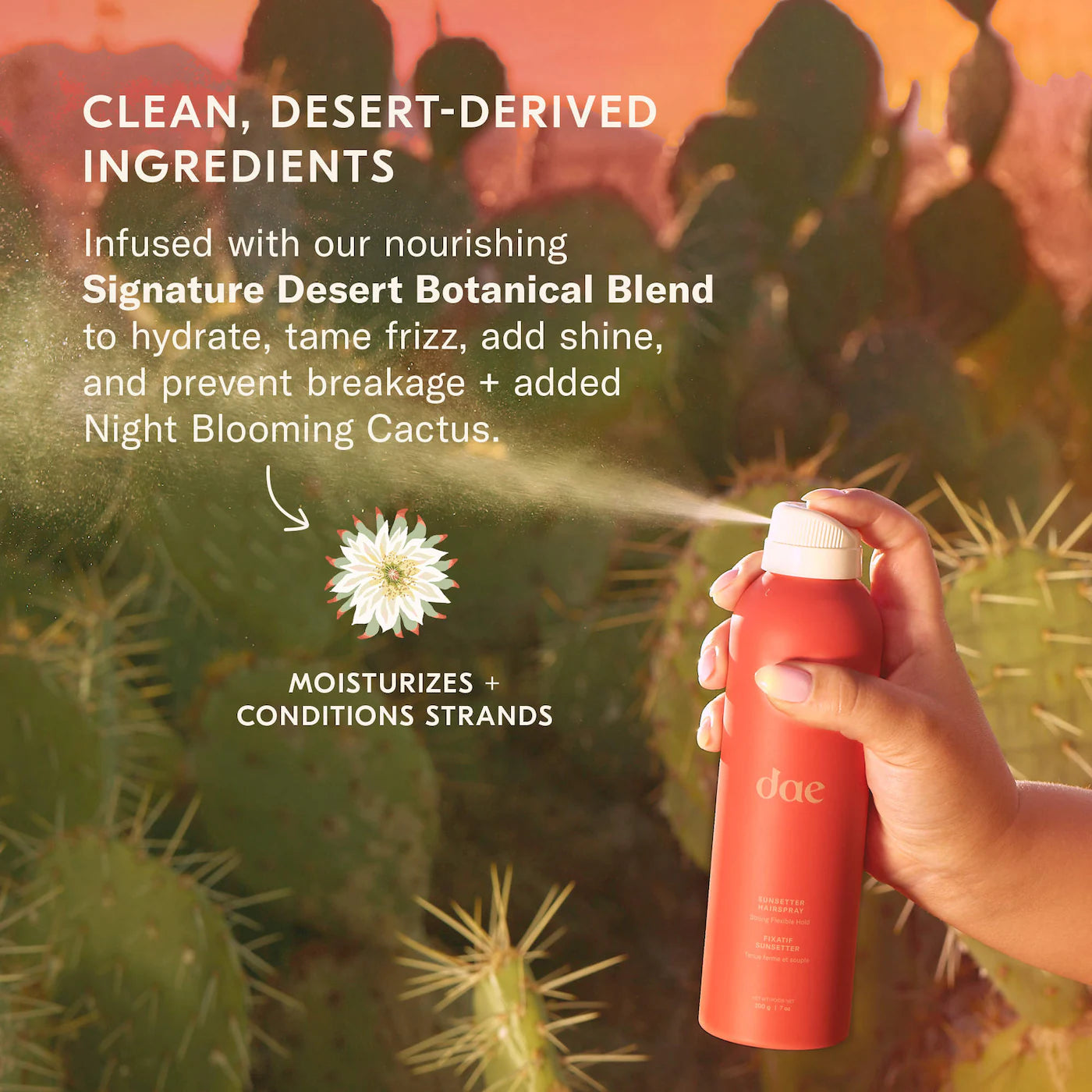 DAE Sunsetter Strong Hold Flexible Hairspray *PRE ORDER*