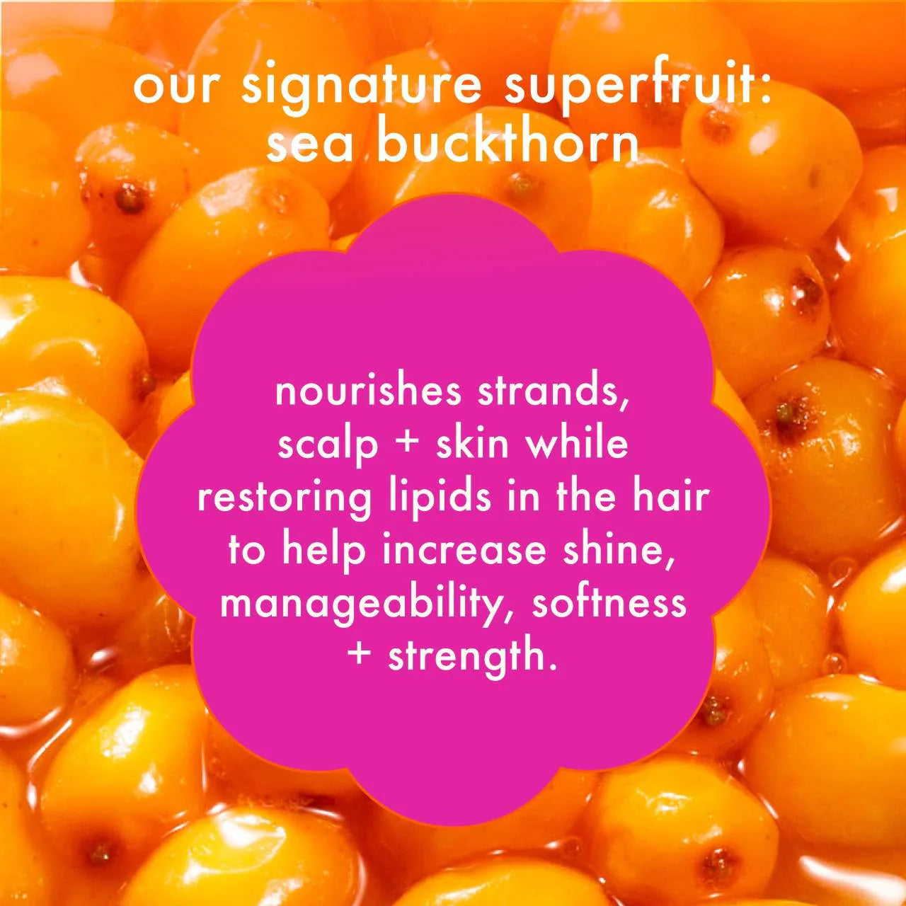 AMIKA Soft Strand Stars Nourishing Shampoo + Conditioner Set *PRE ORDER*