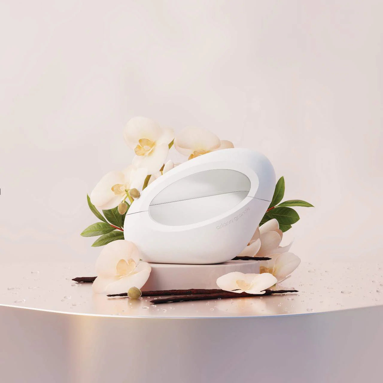 ARIANA GRANDE MOD Vanilla Eau de Parfum *PRE ORDER*