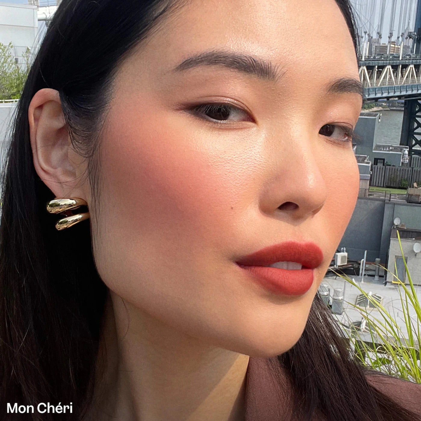 VIOLETTE_FR PLUME LIP Moisturizing Feather Matte Lip Whip *PRE ORDER*