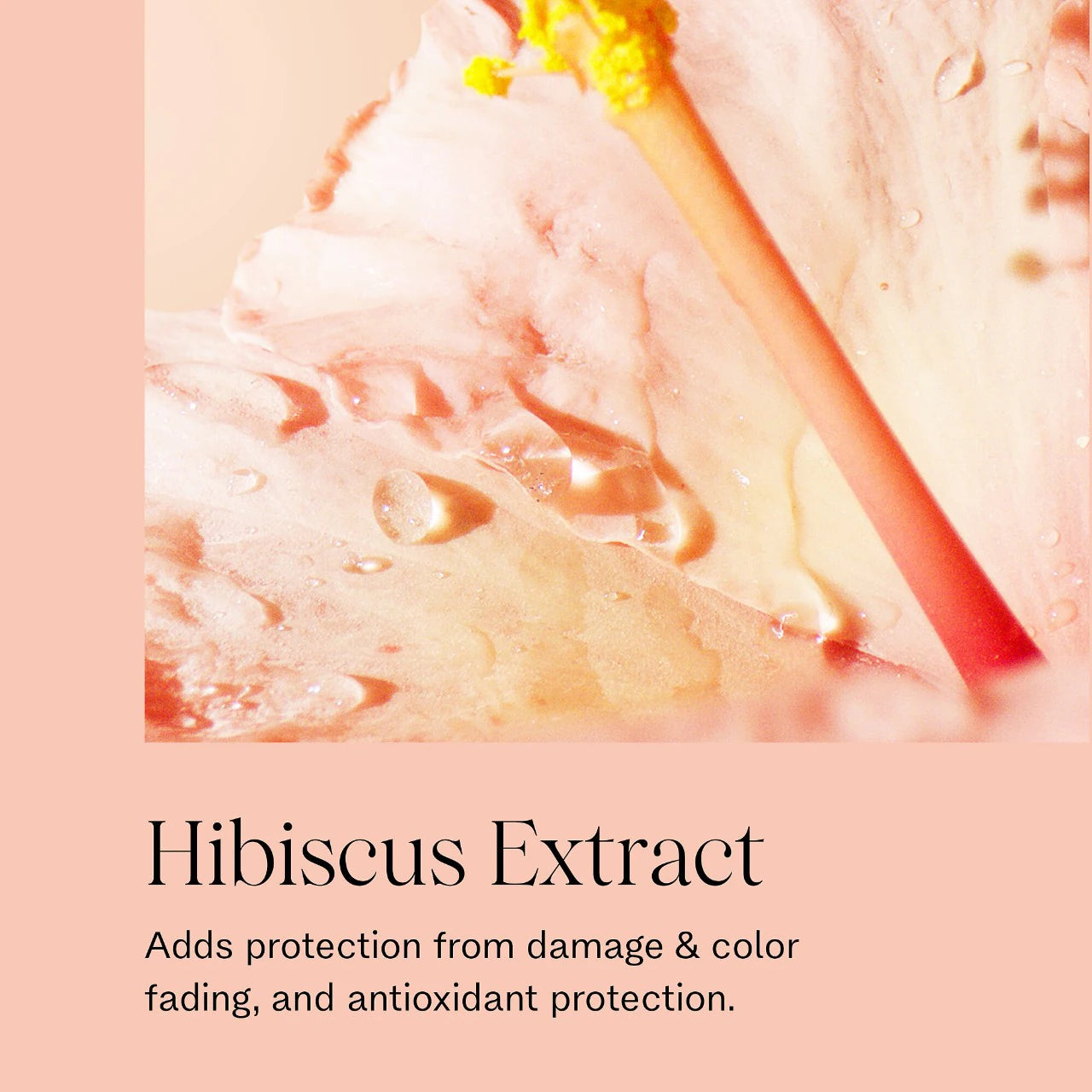 JVN Complete Nourishing Hair Oil Shine Drops *PRE ORDER*