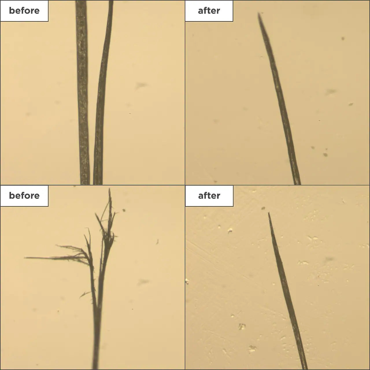 BRIOGEO Don't Despair, Repair! Strengthening Treatment Hair Oil *PRE ORDER*