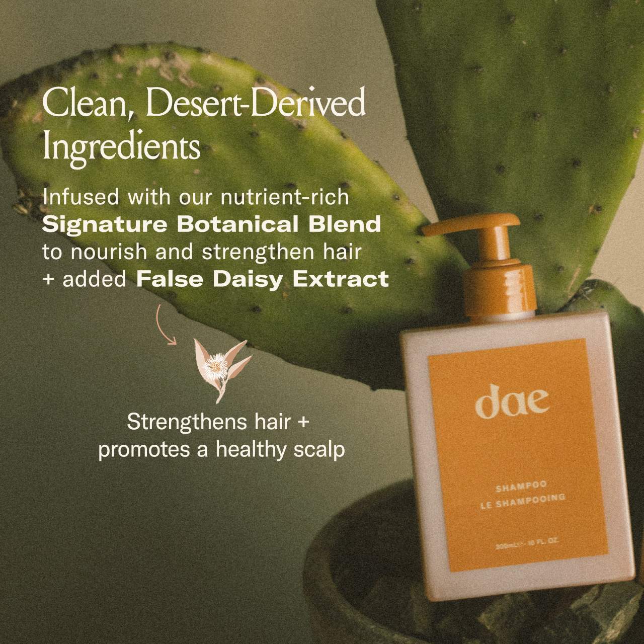 DAE Mini Signature Shampoo *PRE ORDER*