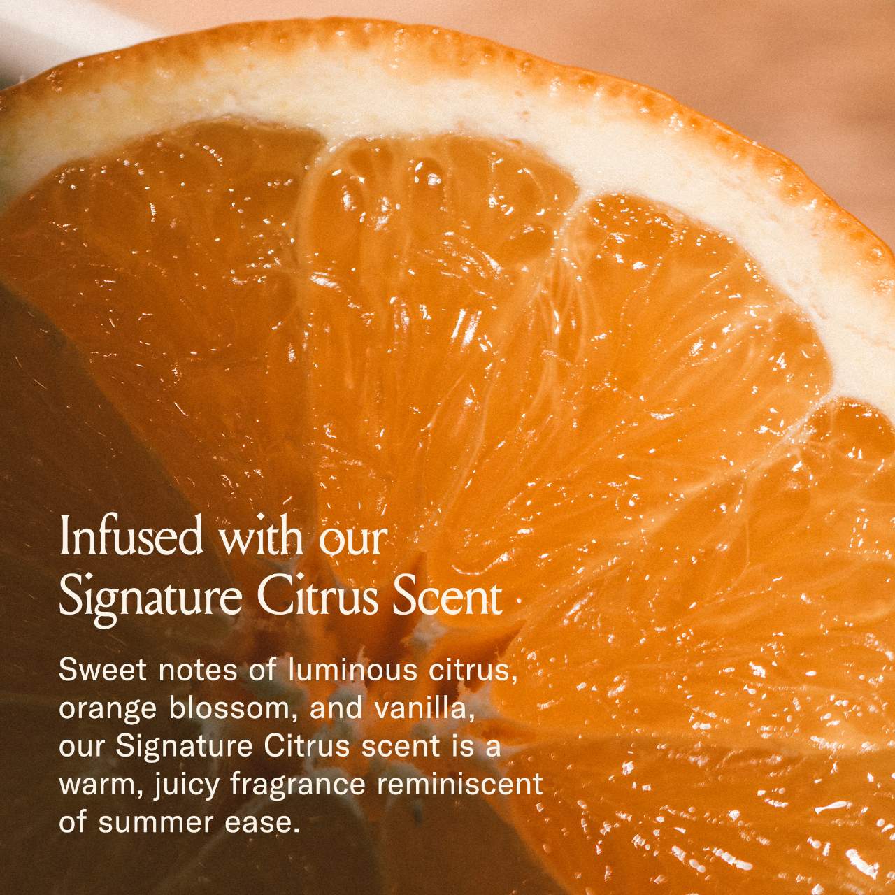 DAE Mini Signature Shampoo *PRE ORDER*