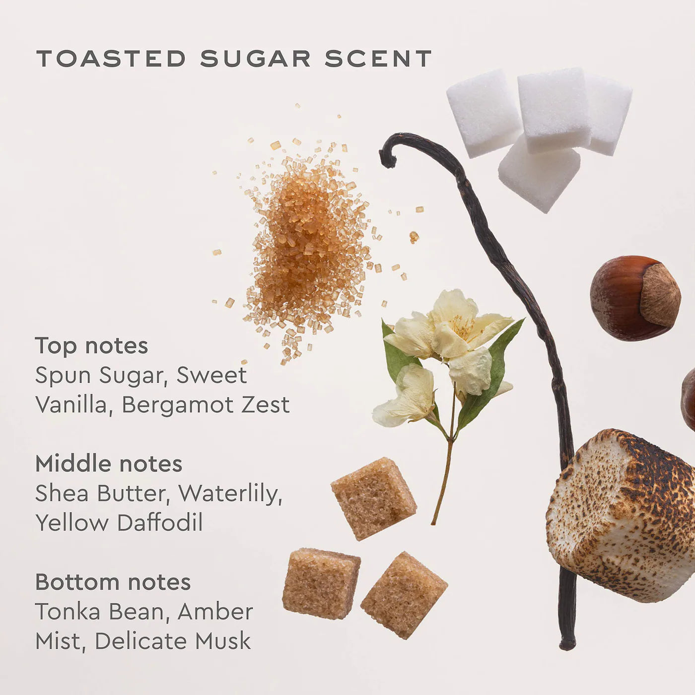 EMI JAY Aura Hair & Body Fragrance Mist in Toasted Sugar *PRE ORDER*